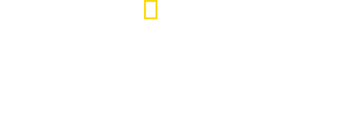Dawn of the Nazis