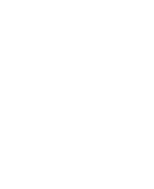 The 410