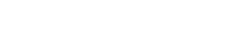 Synduality Noir
