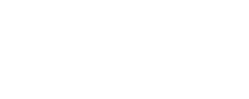 Idiot Love