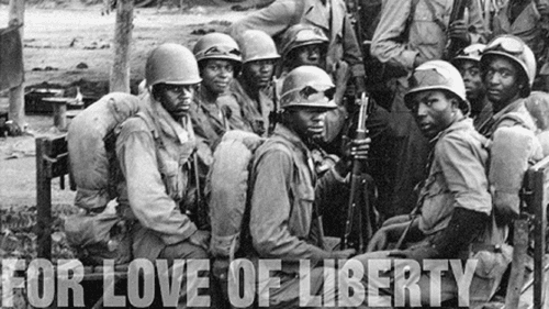 For Love of Liberty: The Story of America's Black Patriots