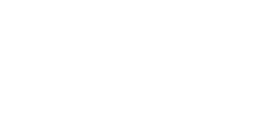 The Order of Time