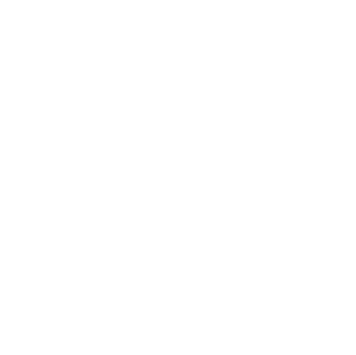 She's The One