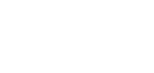 The Velveteen Rabbit