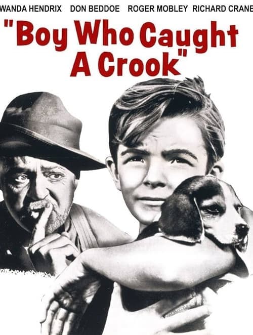 Boy Who Caught a Crook