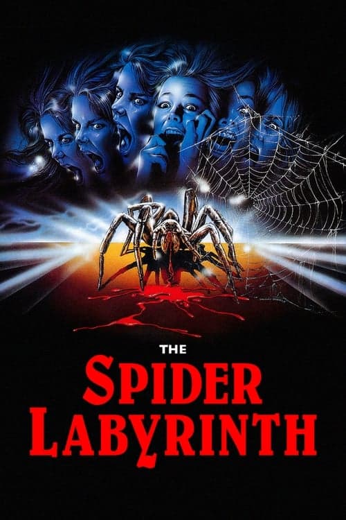 The Spider Labyrinth