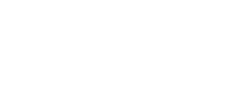 Bronx Zoo '90: Crime, Chaos and Baseball
