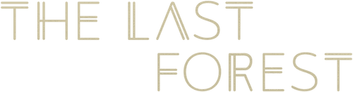 The Last Forest