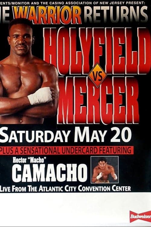 Evander Holyfield vs. Ray Mercer