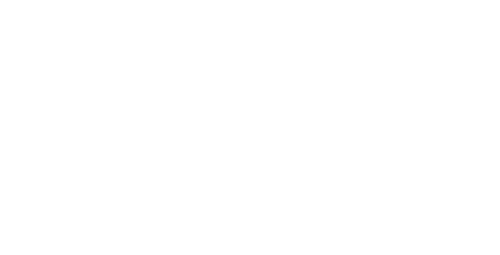 Bizarre Foods with Andrew Zimmern