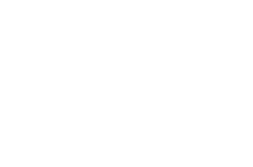 Four Hours at the Capitol