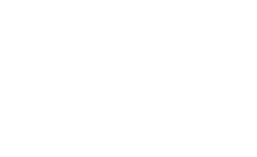 Last Men in Aleppo