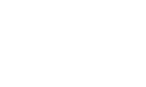 Who Killed Robert Wone?