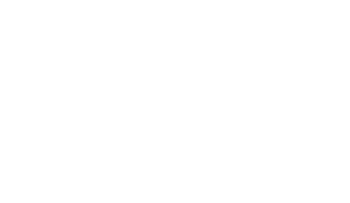 The Naval Commandos
