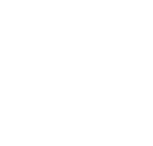 Our Words Collide