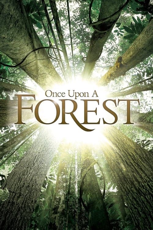 Once Upon a Forest