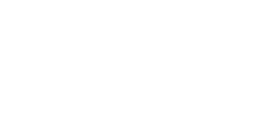 Random Acts of Flyness