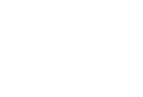 StuGo