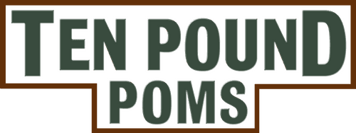 Ten Pound Poms