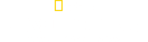 Limitless: Live Better Now