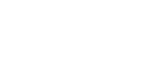 The Paper Tigers