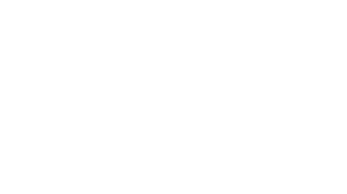 The Man Who Fell to Earth