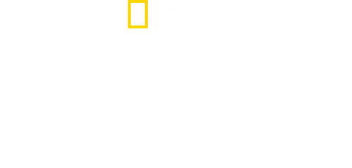 Testers (Shorts)