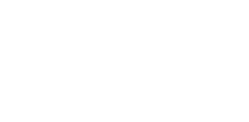 Polish Shit
