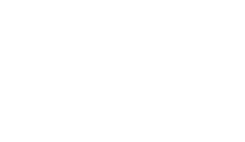 Dragon: The Bruce Lee Story