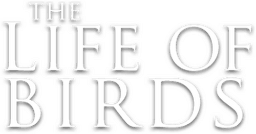 The Life of Birds