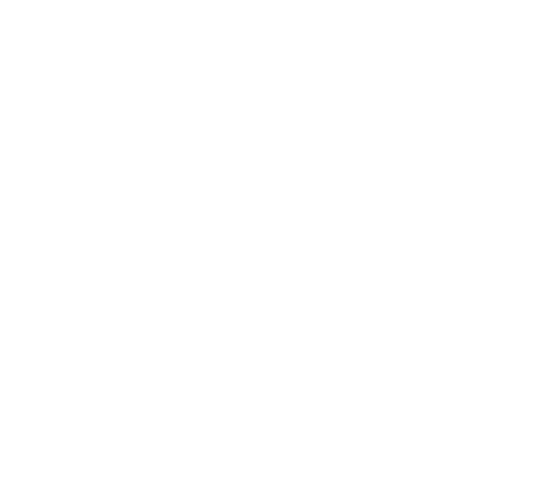 A Farra do Circo