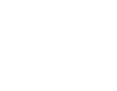 Tarek's Flip Side