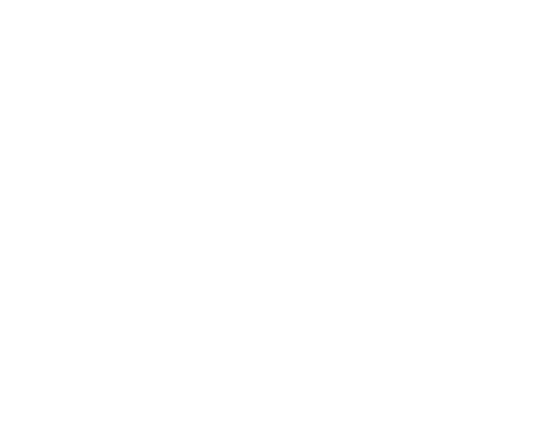500 Days in the Wild
