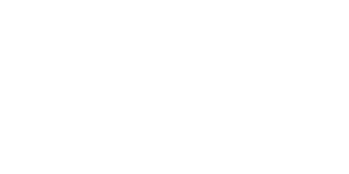 WWE Icons