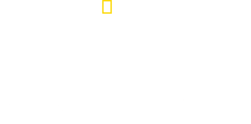 The Great American Manhunt