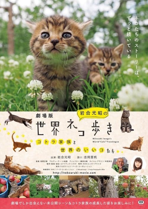 Mitsuaki Iwago's World “Cats” Travelogue