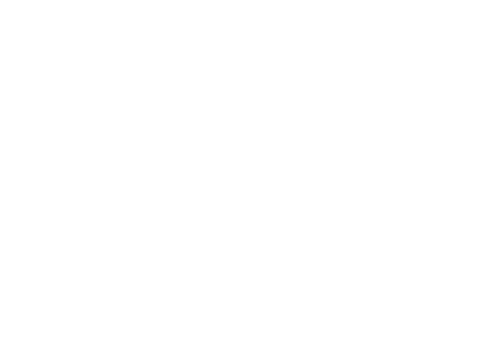 Bad Boys