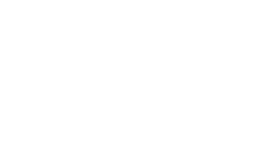 Lady Vengeance