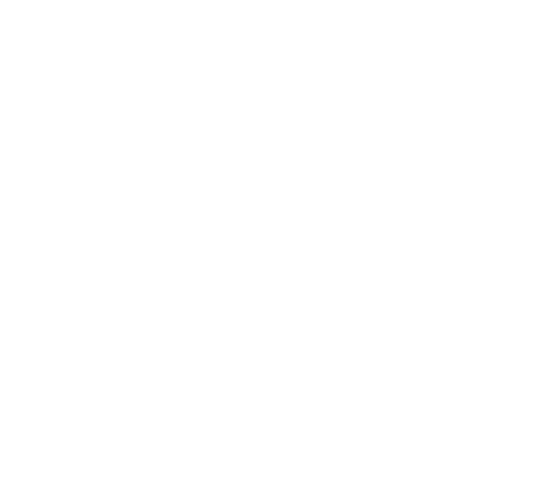 The Heir: The Freestyle Dynasty