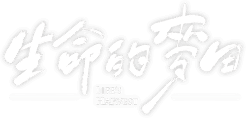 Life's Harvest