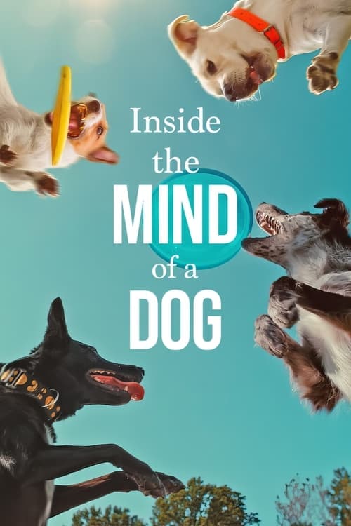 Inside the Mind of a Dog