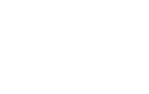 Ibn-i Sina: The Young Genius