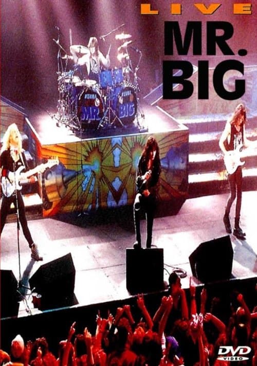 Mr. Big: Live