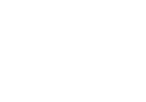 The Blue Whale