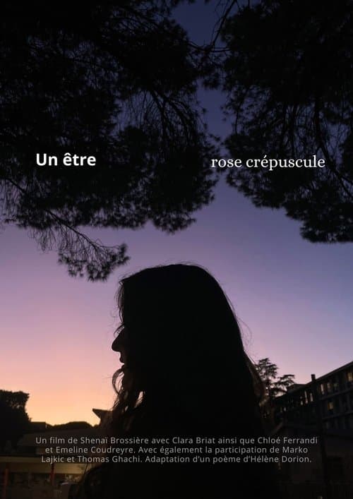 Un Être Rose Crépuscule
