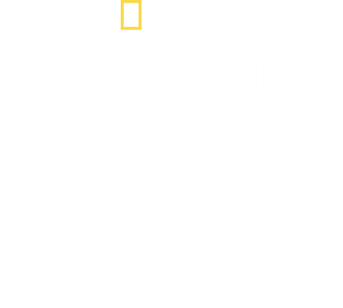Shark vs. Surfer