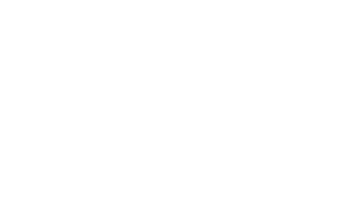 Love in the Time of Cholera