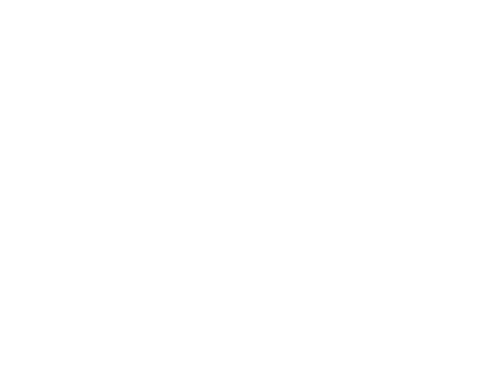 Echoes in the Darkness