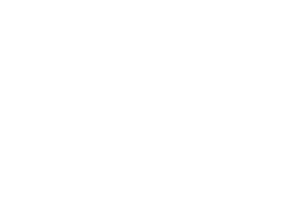 The Stray Cat