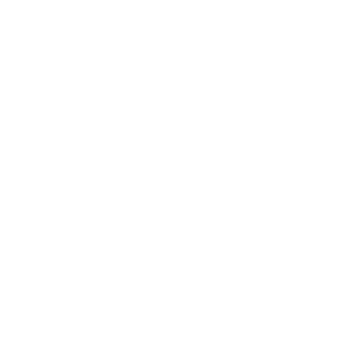 6 Days